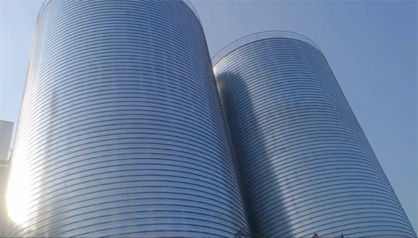 尤溪2座混凝土高架卷板仓